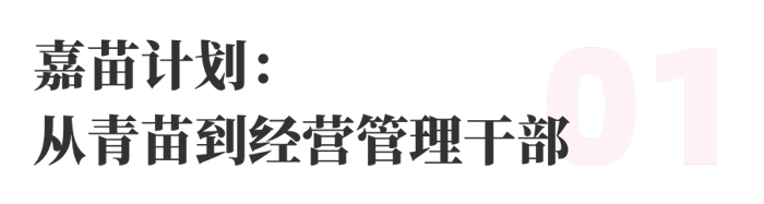 555000jc赌船物流 校园招聘